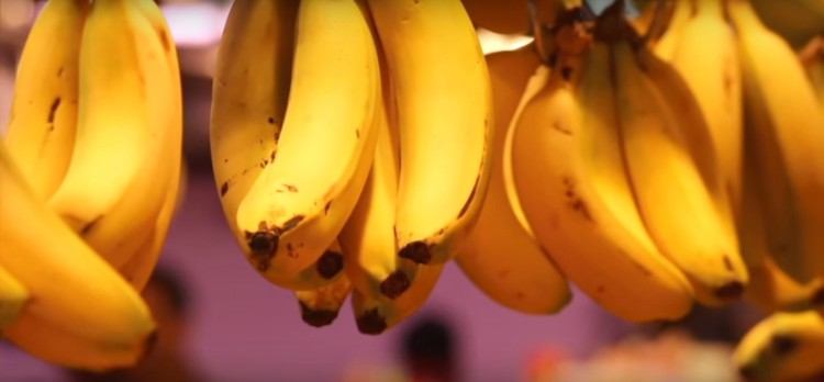 Image of banana bunches.