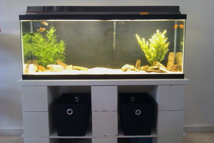 cinder block aquarium stand